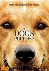 Poster for A Dog's Purpose (PG)